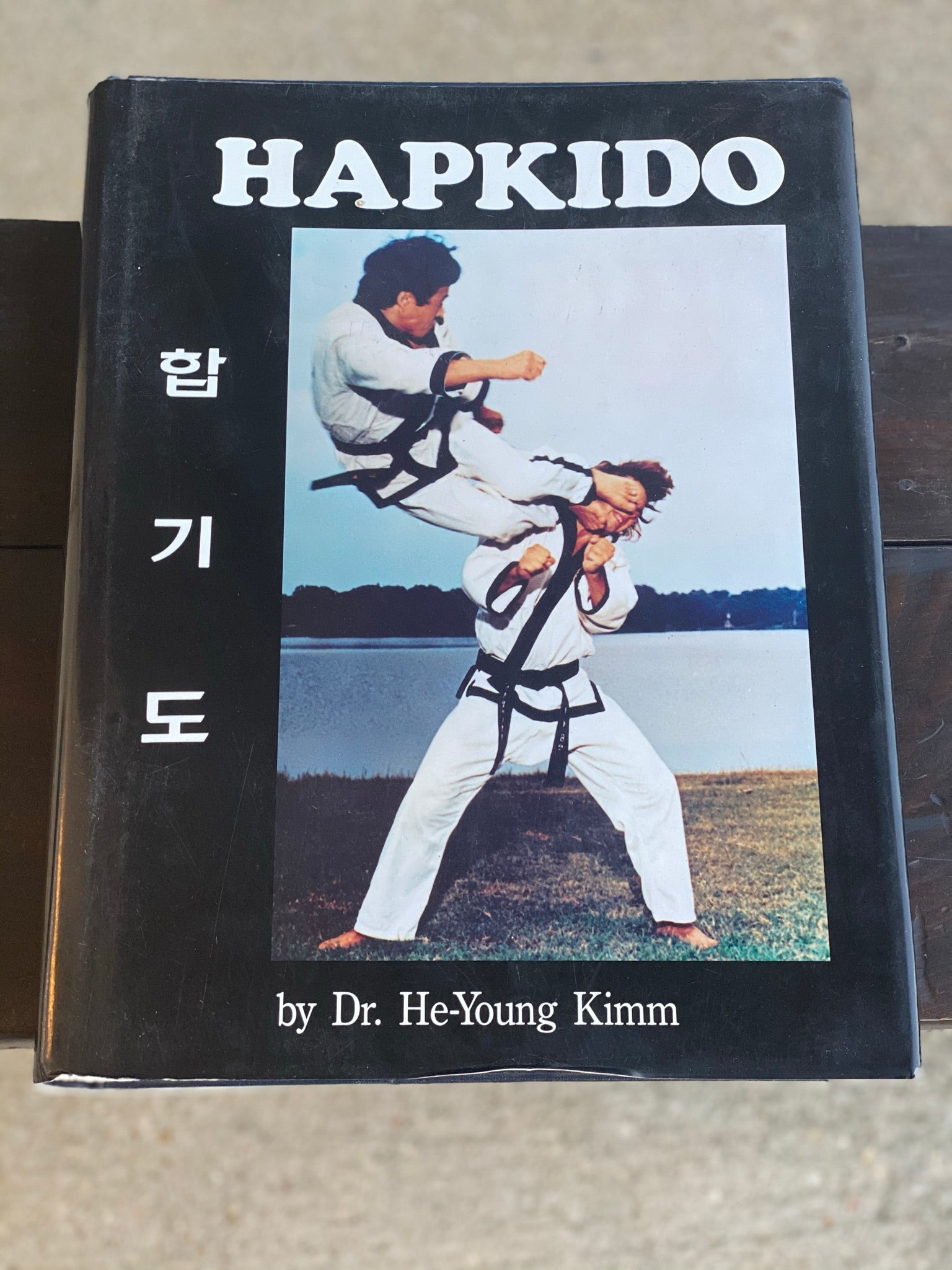 Hapkido Bible – Books By Dr. He-young Kimm